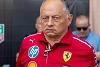 Foto zur News: Teamchef Vasseur räumt ein: Ferrari bisher &quot;hinter den