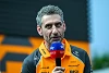 Foto zur News: Andrea Stella erklärt: Warum McLaren wegen Verstappen nervös