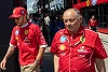 Foto zur News: Vasseur-Aus nicht mit Lewis Hamilton: &quot;Möchte, dass Fred