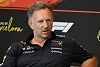 Foto zur News: Horner weicht Frage nach angeblichem Treffen mit