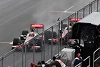 Foto zur News: Palmer: Warum Norris/Piastri ganz anders als Hamilton/Button