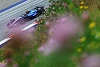 Foto zur News: Williams: Helfen Änderungen am Auto von Carlos Sainz beim...