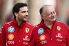 Foto zur News: Jerome d&#039;Ambrosio: Habe mich nicht als Ferrari-Teamchef