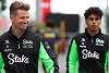 Foto zur News: Nico Hülkenberg über Gabriel Bortoleto: &quot;Wenn er so