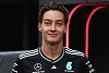 Foto zur News: Wolff-Aussage über Verstappen: George Russell wusste nichts