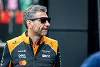 Foto zur News: McLaren-Teamchef Stella zieht Vergleich mit der