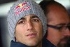 Foto zur News: Ricciardo: Neuer Toro Rosso sieht &quot;in Ordnung&quot; aus