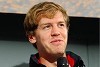 Foto zur News: Vettel 2012: &quot;Es hat eine Weile gedauert&quot;