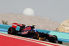 Foto zur News: Toro Rosso erwartet spannendes Rennen