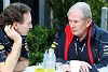 Foto zur News: Marko: &quot;Ricciardo derzeit besser als Vergne&quot;