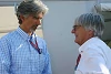 Hill: "Bernie interessiert sich nicht für den Sport"
