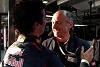 Foto zur News: Ricciardo: Tost ist der ideale Rookie-Teamchef