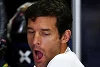 Foto zur News: Formel 1 ohne Webber: Was die Kollegen vermissen werden