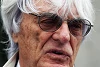 Foto zur News: Ecclestone kritisiert Regeln 2014: "Keine Hersteller kommen"