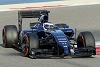 Foto zur News: Bottas hofft 2014 auf starken Williams-Start