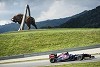 Foto zur News: Wiesen, Kühe, Berge: &quot;Heimspielberg&quot; der Formel 1