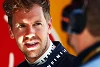 Foto zur News: Vettel: "Ricciardo macht weniger Fehler"