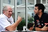 Foto zur News: Markos wichtigster Rat an Ricciardo: &quot;Investiere in Kunst!&quot;