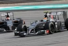 Foto zur News: Sauber in Ungarn: Chance auf Punkte vor der Sommerpause?