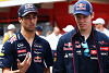 Foto zur News: Ricciardo: &quot;Kwjat schlägt sich wirklich gut&quot;