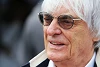 Foto zur News: Ecclestone spricht: &quot;Ich war vielleicht ein Idiot&quot;