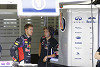 Foto zur News: Surer: Vettel hatte drei gute Gründe zu wechseln