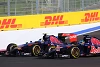 Foto zur News: Vergne findet, Toro Rosso sollte auf ihn setzen