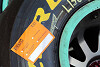 Foto zur News: Pirellis 2015er-Reifen kommen beim Abu-Dhabi-Test gut an