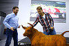 Foto zur News: Vettel: Weltmeister-Red-Bull gibt&#039;s erst nach Ferrari