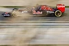 Foto zur News: Toro Rosso mit solidem Start ins Jahr : Was kommt da noch?