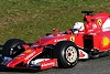 Foto zur News: David Coulthard: "Sebastian Vettel ist eine Siegmaschine"