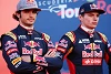 Foto zur News: Carlos Sainz: Kein Problem im Schatten von Verstappen