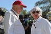 Foto zur News: Bernie Ecclestone träumt weiter: Mercedes-Motoren für alle!