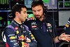Foto zur News: Ratloser Ricciardo fürchtet: Fehlersuche könnte länger