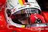 Foto zur News: Vettel angetan: Warum das springende das richtige Pferd war