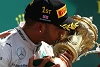 Foto zur News: Formel 1 Silverstone 2015: Hamilton gewinnt Regen-Krimi