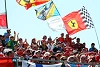 Foto zur News: Hungaroring: Jubiläumsrennen lockt 73.000 Zuschauer an