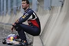 Foto zur News: Ricciardo: Ich hätte es mit Grosjean aufnehmen können