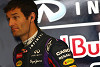Foto zur News: Webber über Vettel: &quot;Er hat viel mehr aus mir