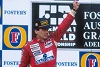 Foto zur News: Formel-1-Live-Ticker: Buntes Denkmal für Ayrton Senna