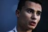 Foto zur News: Warum Pascal Wehrlein noch kein Manor-Cockpit hat