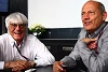 Foto zur News: Ecclestone-Nachfolge: Wieso Horner #AND# Dennis absagen