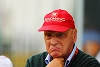 Foto zur News: Niki Lauda: Alternativmotor &quot;ist für den Sport der Tod&quot;