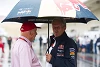 Foto zur News: Kein Mercedes-Motor für Red Bull: Lauda tut es leid