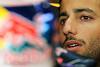 Foto zur News: Daniel Ricciardo: Red Bull verhinderte Le-Mans-Start