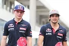 Foto zur News: Toro-Rosso-Technikchef: Sainz disziplinierter als Verstappen