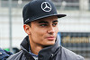 Foto zur News: Mercedes-Ersatzfahrer Wehrlein? Hinterbänkler geht vor