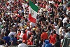 Foto zur News: Mexiko rechnet mit rund 360.000 Formel-1-Fans