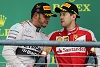 Foto zur News: Horner: Vettel und Hamilton werden nie Teamkollegen sein