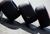Foto zur News: Keine Reifen-Klippe vor 2017: Pirelli scheitert mit Feature